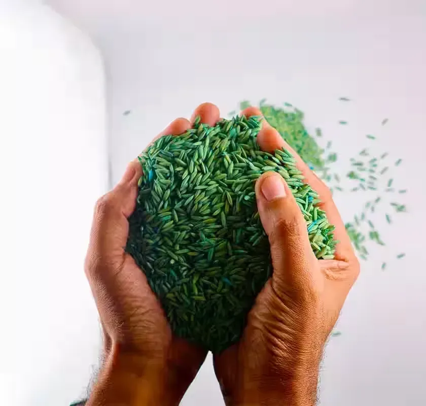 Fertilizantes Santo Domingo S.A. - Agriculture products | Dominican Republic
