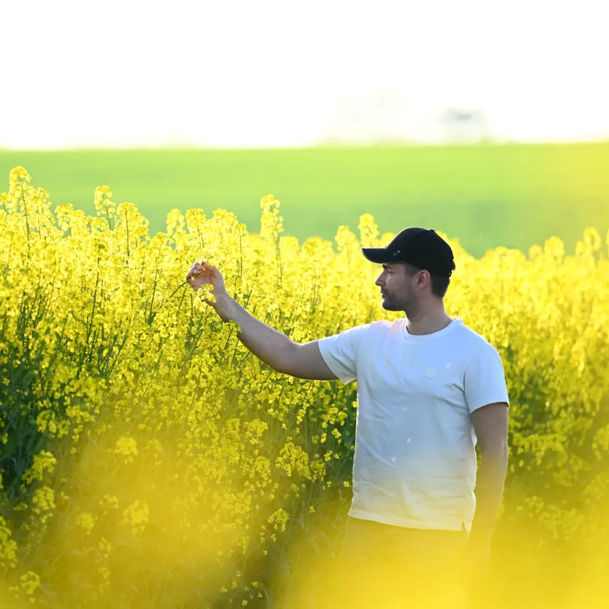 Oleon NV - Chemicals products | Belgium