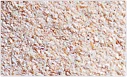 Ali Foods - Foods & Beverages products | India