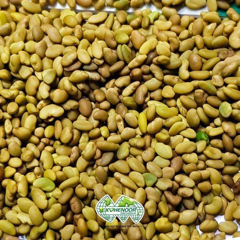 Kohenoor International - Agriculture products | Pakistan