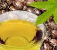 Aryan International - Agriculture products | India