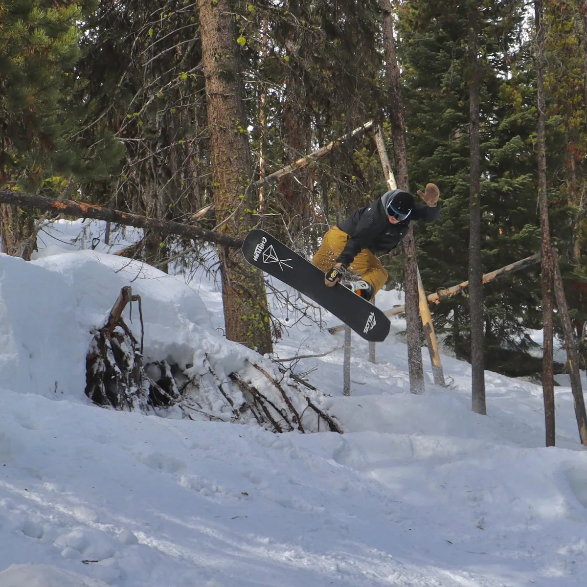 Telos Snowboards - Sports & Leisure products | United States