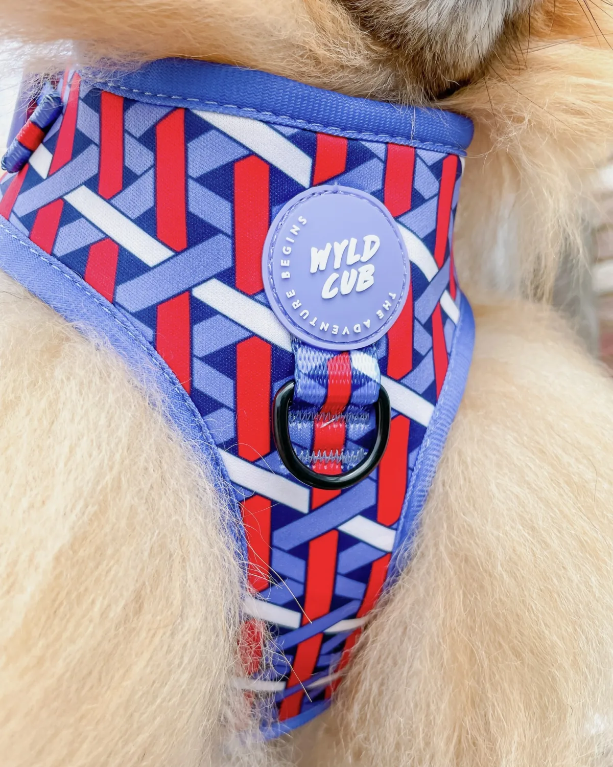 Wyld Cub - Others & Miscellaneous products | United Kingdom