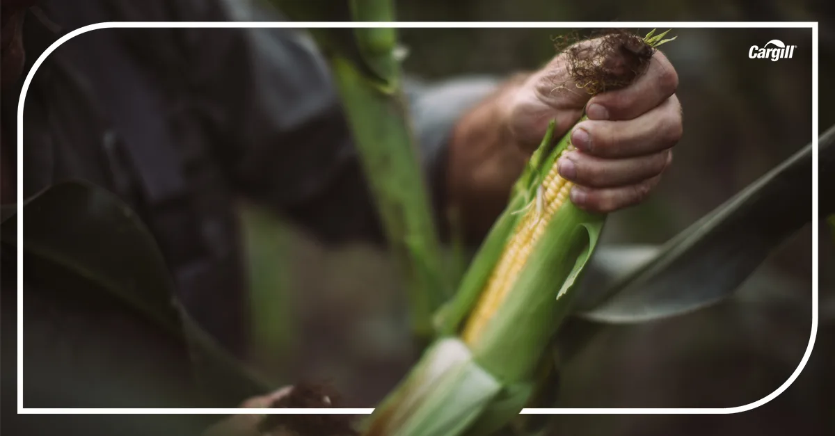 Cargill, Inc. - Agriculture products | United States