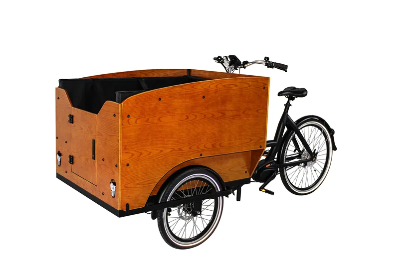 Xuzhou Beiji Vehicle Co., Ltd. - Sports & Leisure products | China