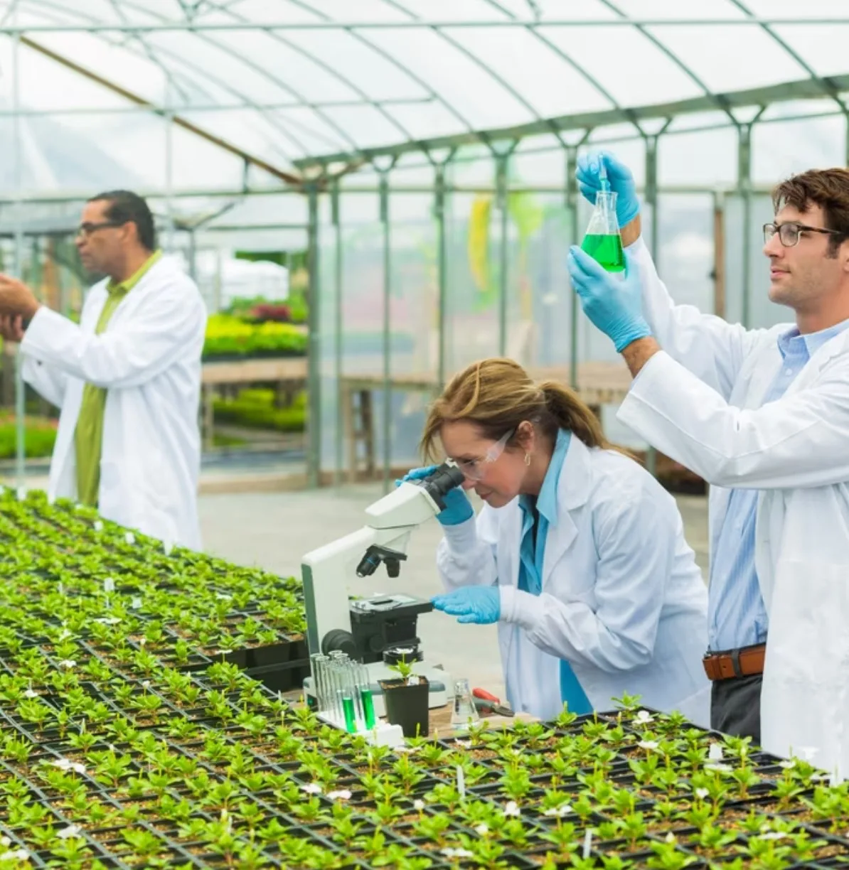 Syngenta International AG - Agriculture products | Switzerland