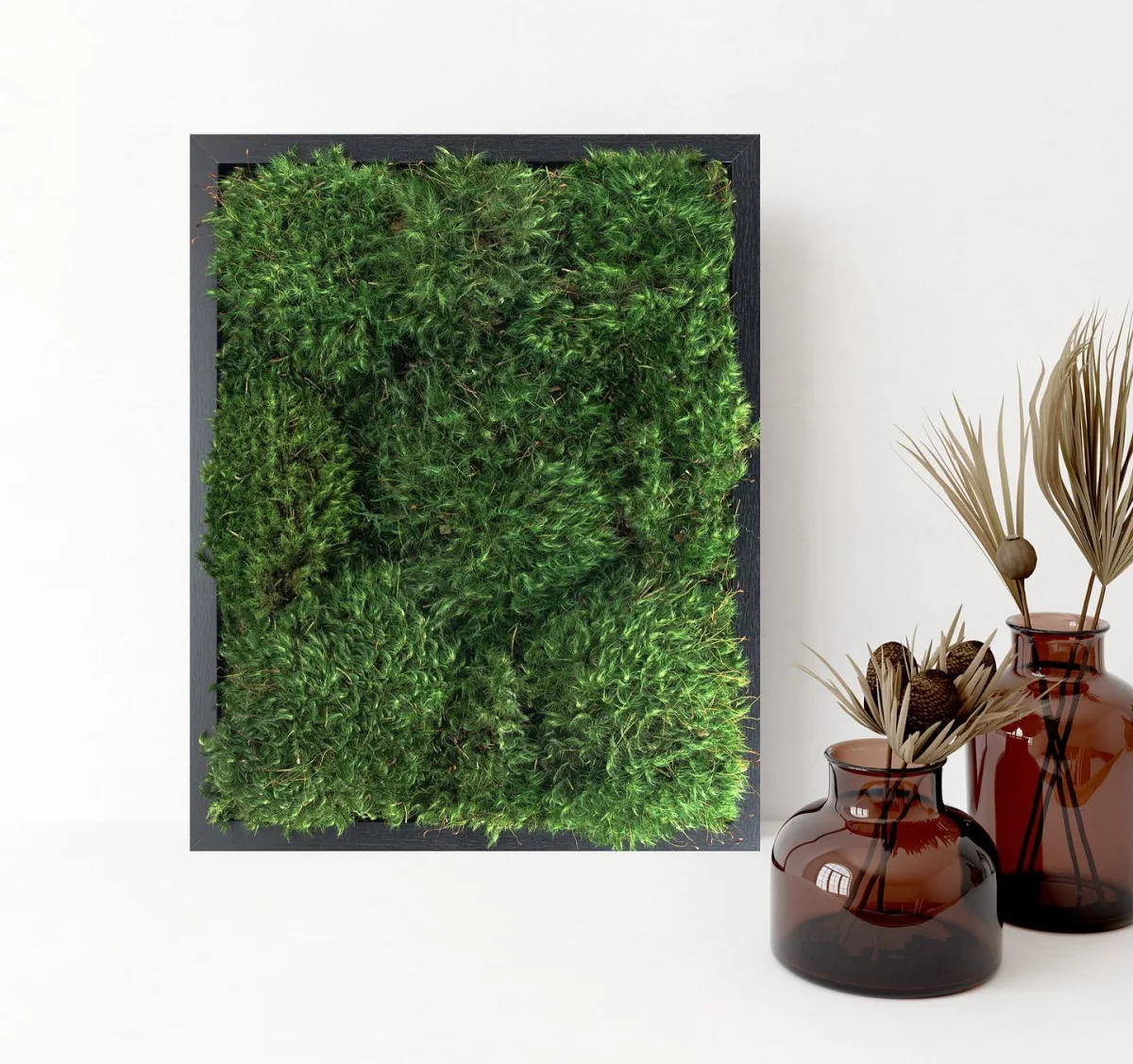 Moss Pure - Household products | United States