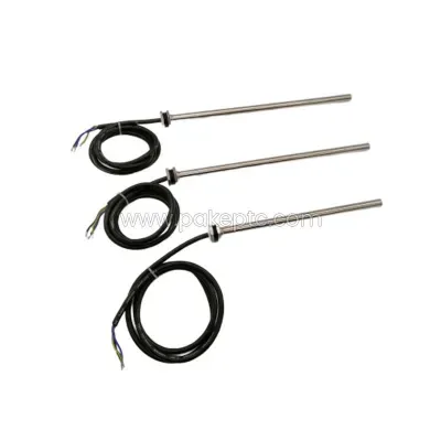 Shanghai PAKE Thermistor Ceramics Co., Ltd.  - Automobiles & Transportation products | China