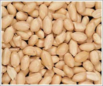 Strong International Trading Inc. - Agriculture products | Canada