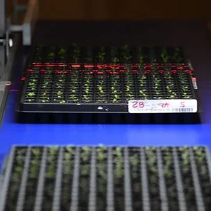 Sciotex - Electronics products | United States