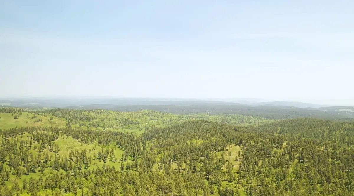 Rare Element Resources Ltd - Energy & Minerals products | United States