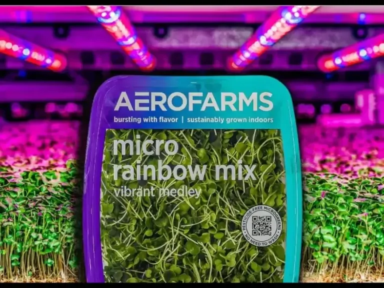 AeroFarms - Agriculture products | United States