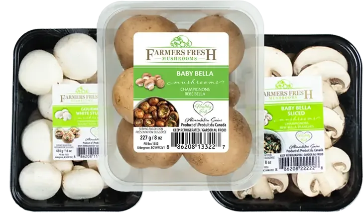 Farmers Fresh Mushrooms - Agriculture products | Canada