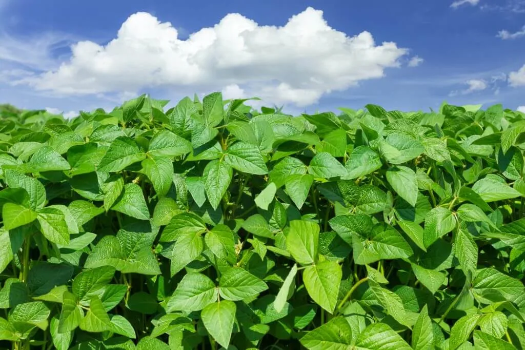 EZ-Gro Inc - Agriculture products | Canada
