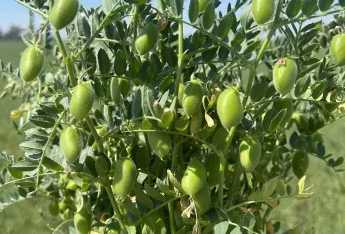 Best Farming Systems Pty Ltd - Agriculture products | Australia