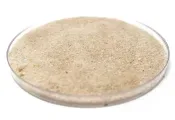 Fertinagro Biotech S.L - Agriculture products | Spain