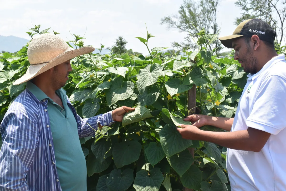 Foragro Company - Agriculture products | Guatemala
