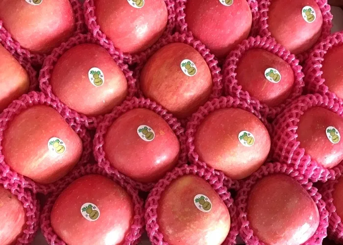 Laizhou Tiancibao Produce Co., Ltd. - Agriculture products | China