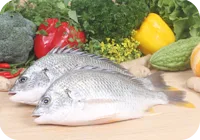 North Supreme Seafood (Zhuhai) Co ., Ltd - Foods & Beverages products | China
