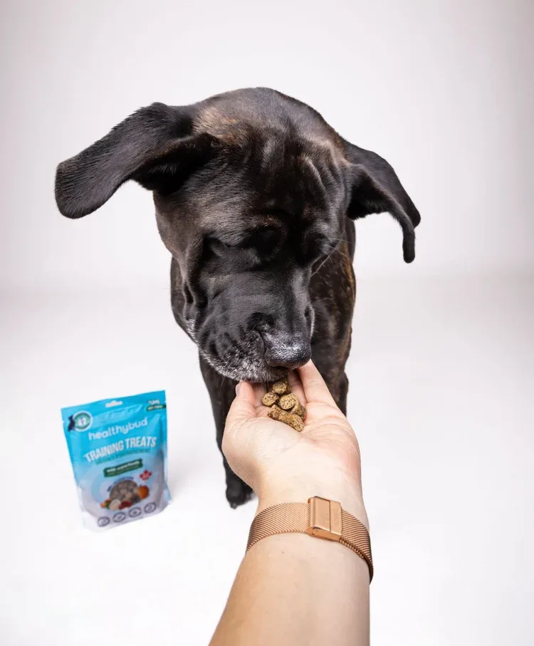 Healthybud Corp. - Others & Miscellaneous products | Canada