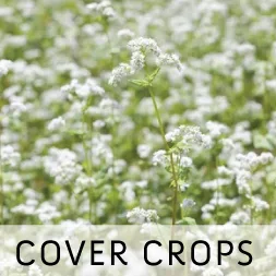 Mountain Valley Seed Co. - Agriculture products | United States