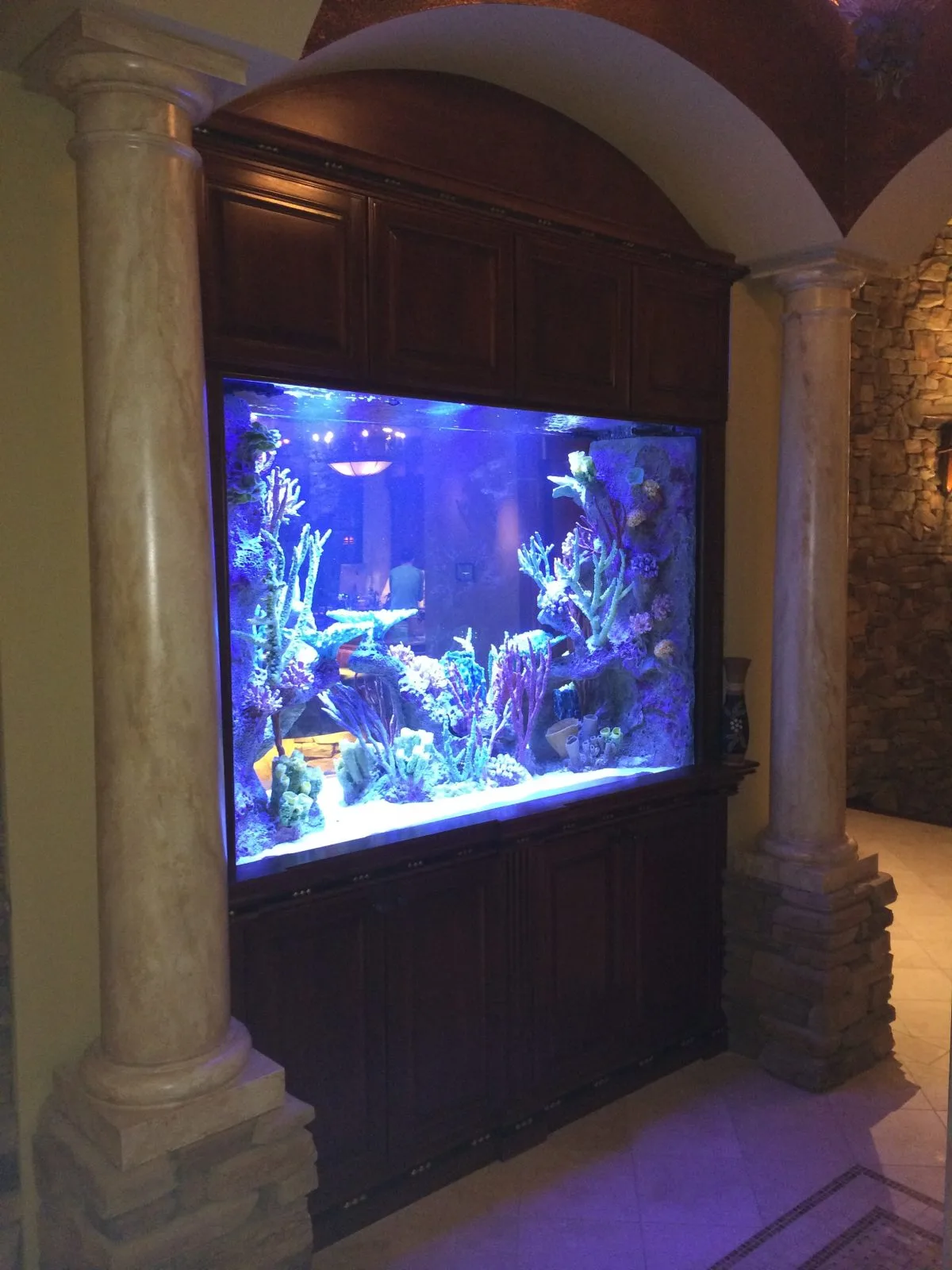 Titan Aquatic Exhibits - Construction products | United States