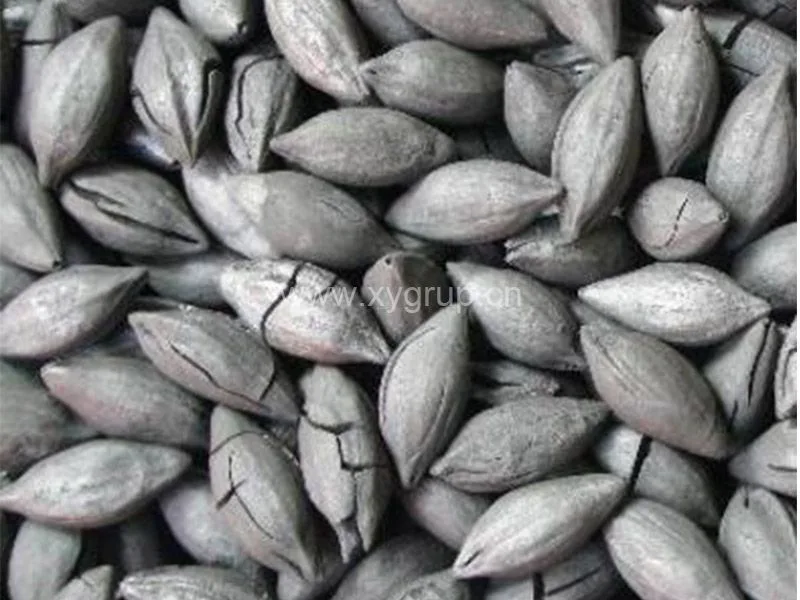 Xingyuan Industry Group - Agriculture products | China