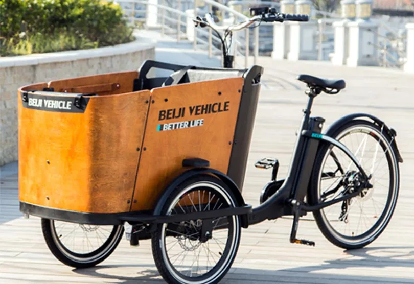Xuzhou Beiji Vehicle Co., Ltd. - Sports & Leisure products | China