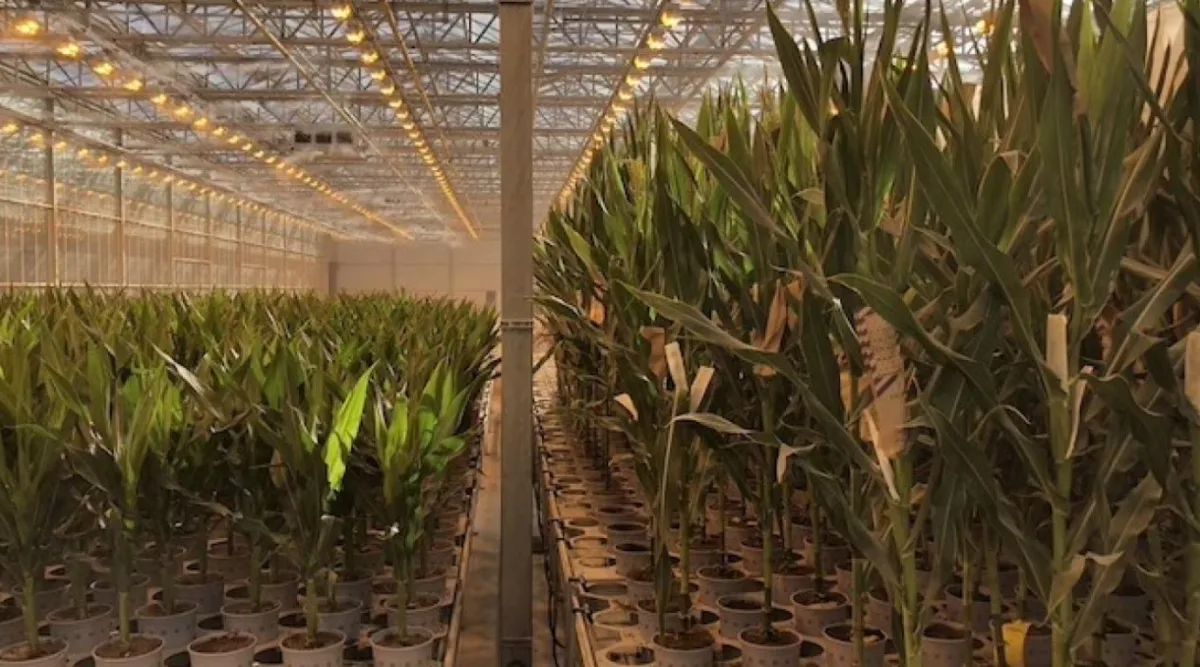 Bayer AG - Agriculture products | Germany