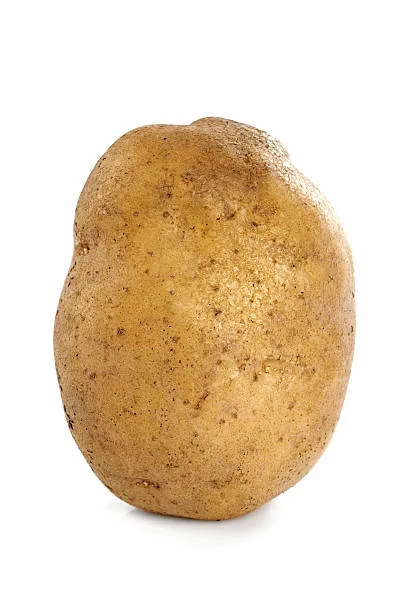Netherlands Potato Suppliers - Agriculture products | Netherlands