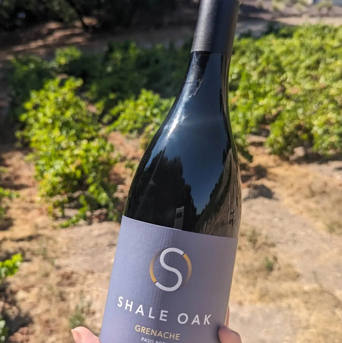 Shale Oak Winery - Foods & Beverages products | United States