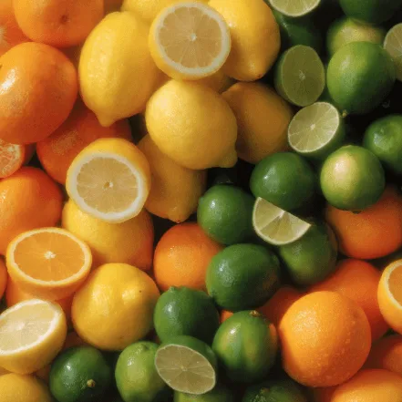 Sai Nursery Pty Ltd - Agriculture products | Australia