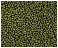 Strong International Trading Inc. - Agriculture products | Canada