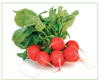 Emerald Greens - Agriculture products | Ireland