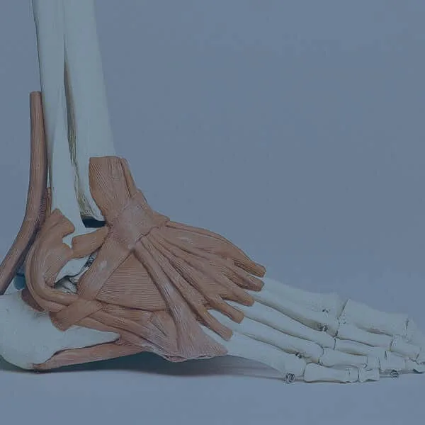 Podimetrics Inc. - Health & Medical products | United States
