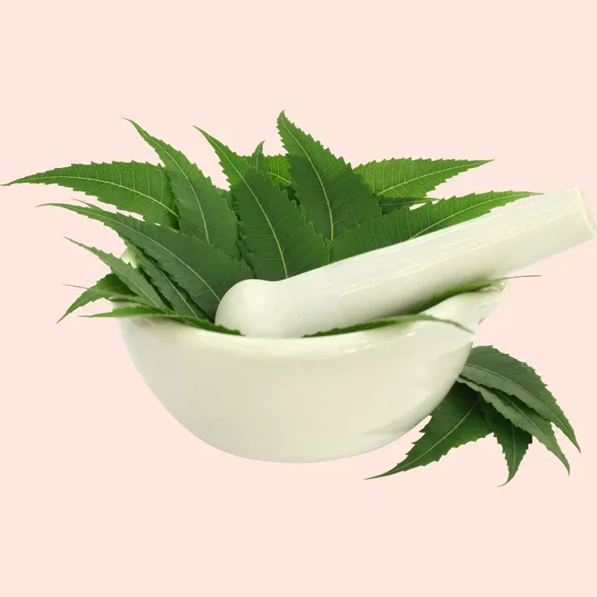 Raasa Oils - Beauty & Cosmetics products | India