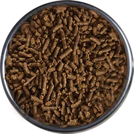 L&P Food Ingredient Co., Ltd. - Foods & Beverages products | China