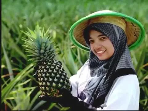 PT Great Giant Pineapple - Agriculture products | Indonesia