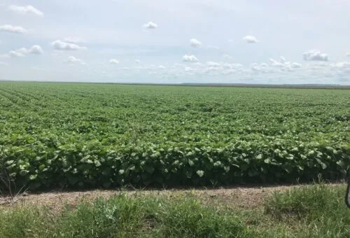 Best Farming Systems Pty Ltd - Agriculture products | Australia