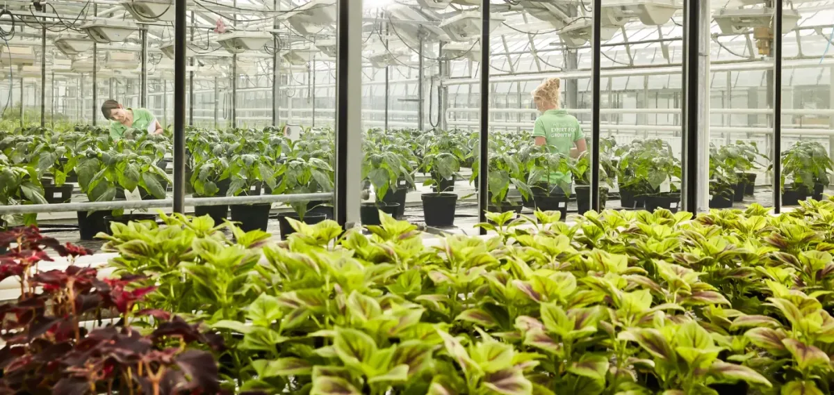 Compo Expert GmbH - Agriculture products | Germany