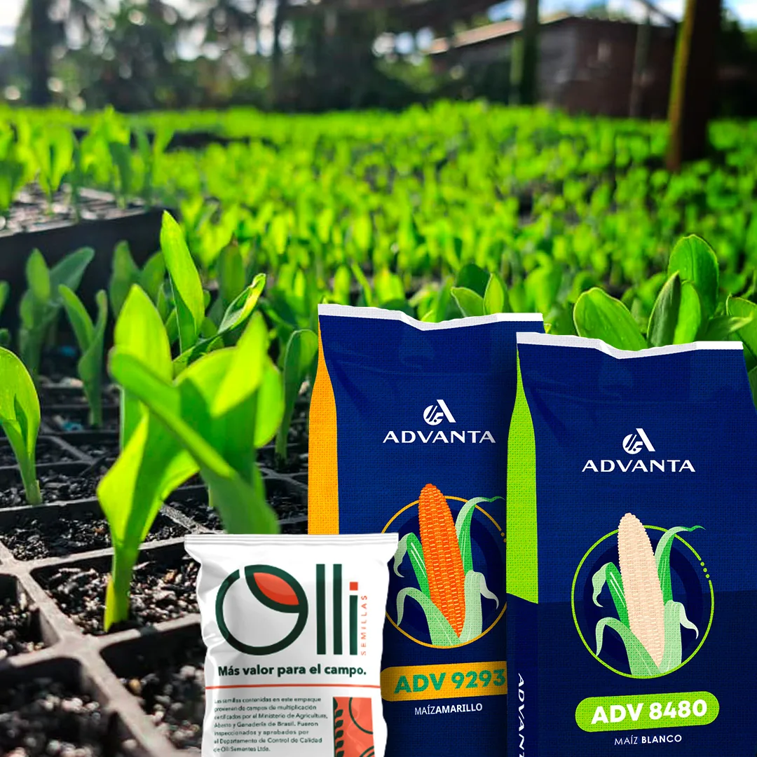 Foragro Company - Agriculture products | Guatemala