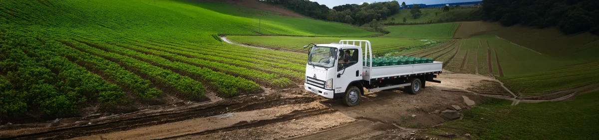 Agrale S.A - Agriculture products | Brazil