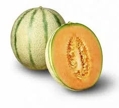 Atlantic Gulf Company - Agriculture products | Morocco