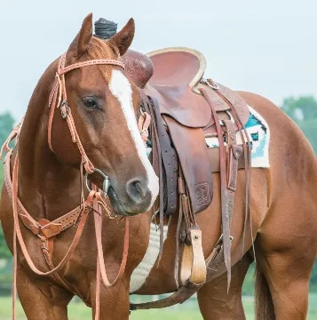 Weaver Leather LLC - Apparel & Textiles products | United States