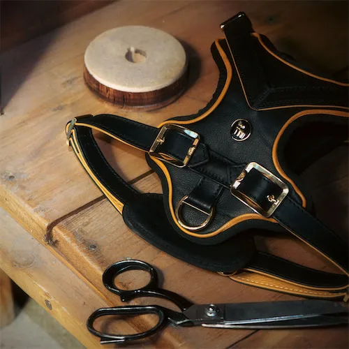 MyFamily S.r.l - Others & Miscellaneous products | Italy