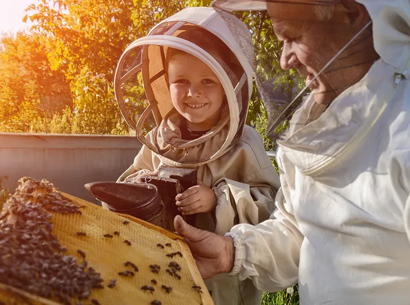Apimaye - Agriculture products | Türkiye