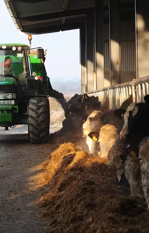 Connolly's RED MILLS - Agriculture products | Ireland