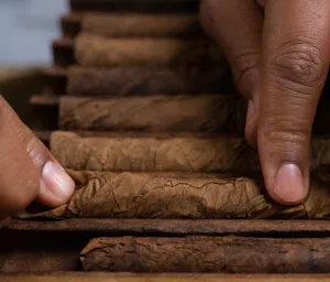 Tabacalera Palma - Others & Miscellaneous products | Dominican Republic