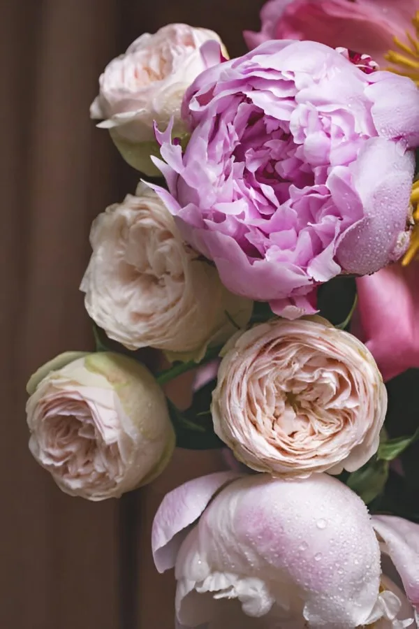 Al Jazeera Perfumes - Beauty & Cosmetics products | Qatar