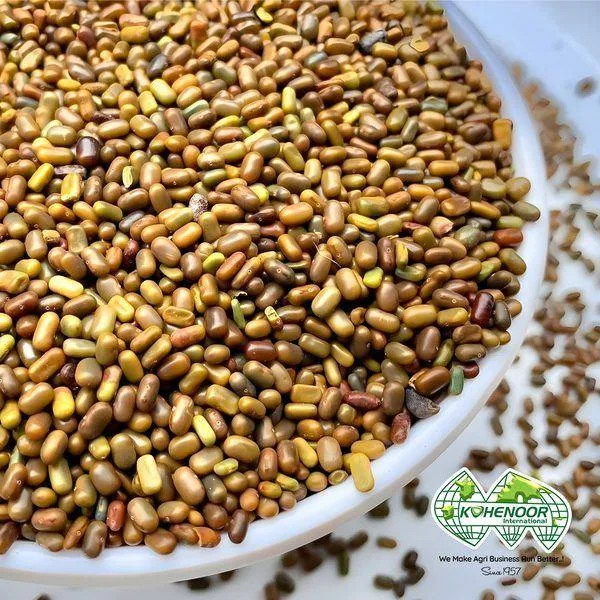 Kohenoor International - Agriculture products | Pakistan